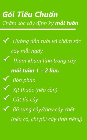 Gói 2 - Chi Nhánh TP. Hồ Chí Minh - Công Ty TNHH Cảnh Quan Trẻ